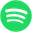 Spotify Icon